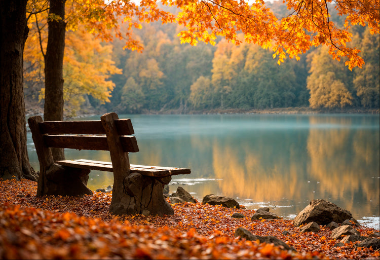 Automne & Halloween