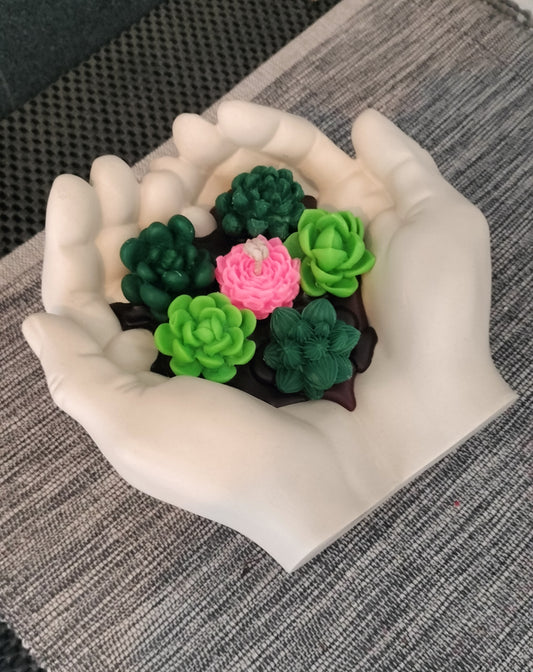 Bougie main/plantes